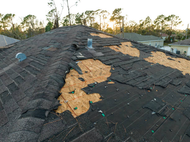 Best Roof Leak Repair  in Pisgah, AL